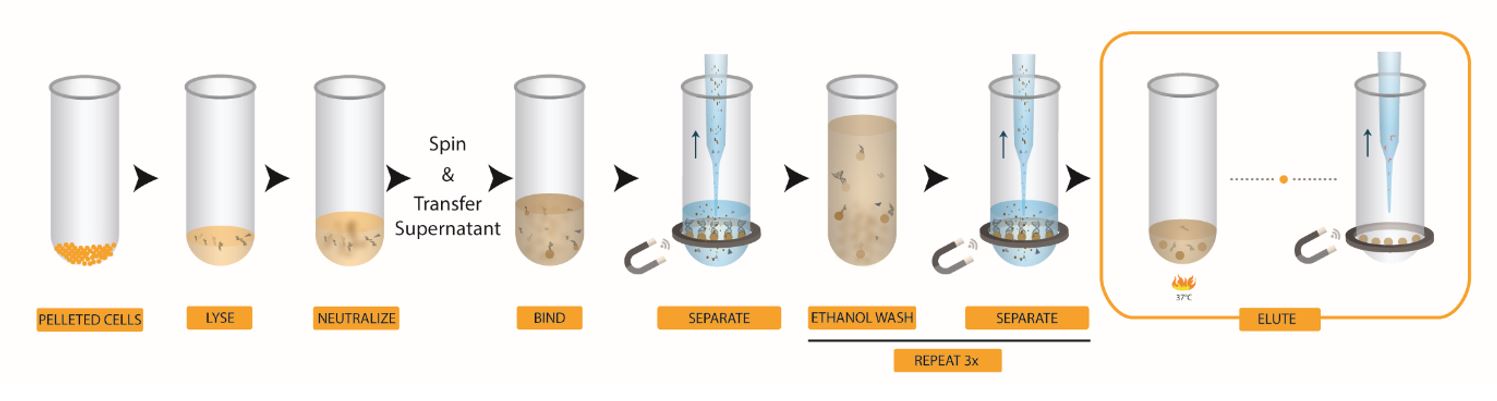 Genomics CosMCPrep DNA Plasmid Purification
