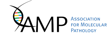 AMP Logo