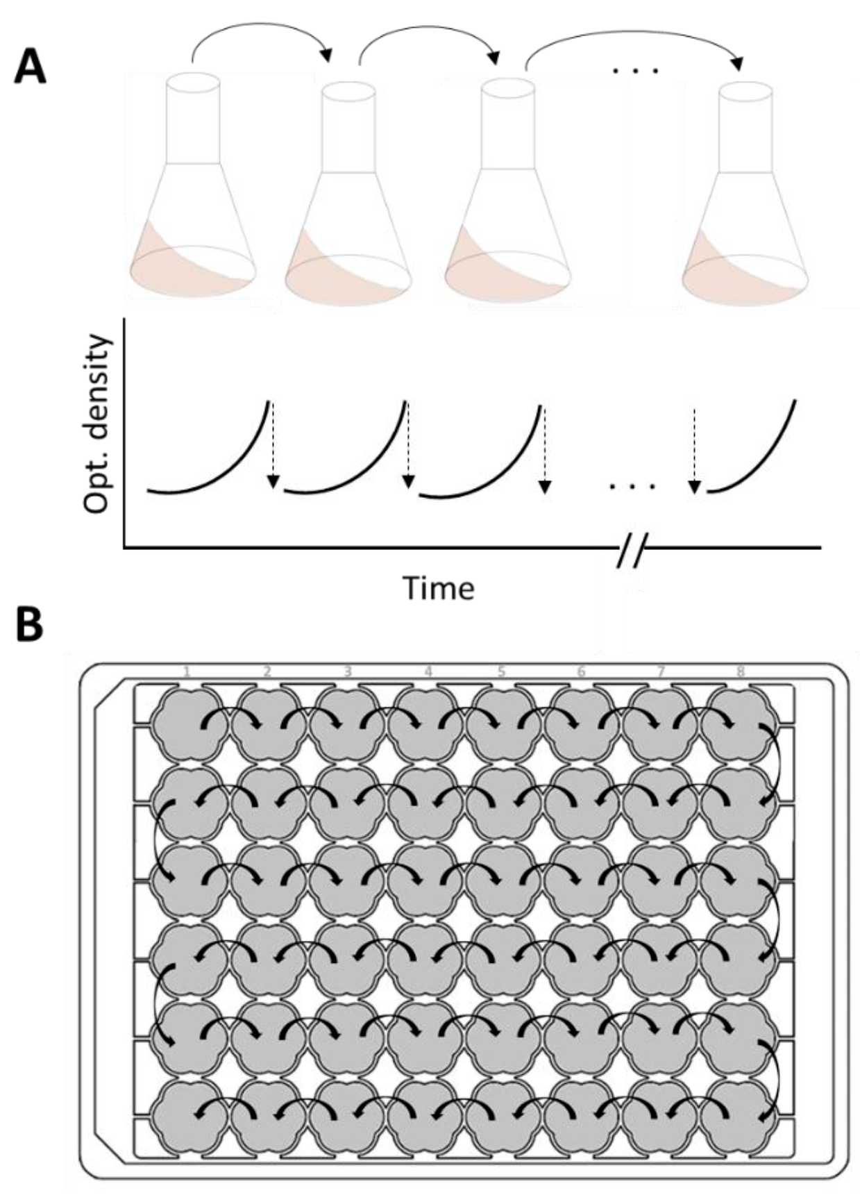 Figure 1 Adaptive Laboratory Evolution ALE