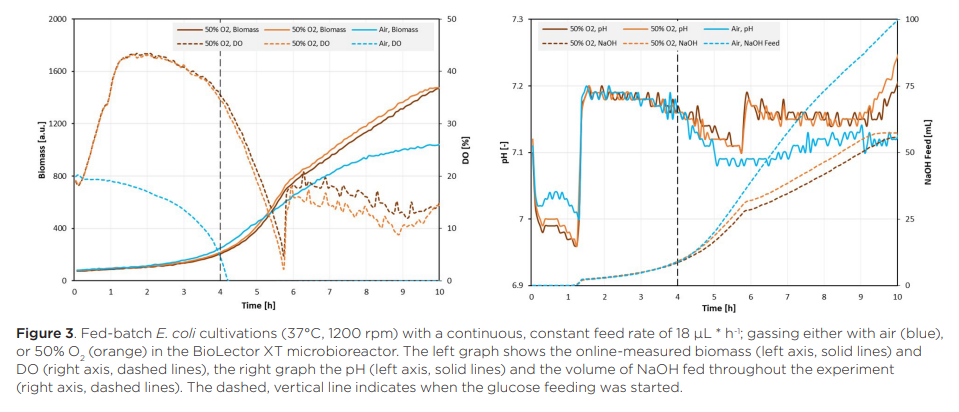 fed-batch e coli cultivations with constant feed rate