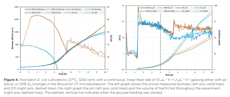 fed-batch e coli cultivations