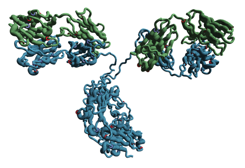 Monoclonal antibody molecule