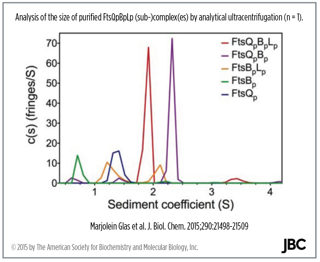 Analysis of ProteinProteinInteractions by analytical ultracentrifugation