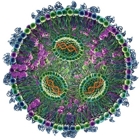 Ionizable neutral lipid