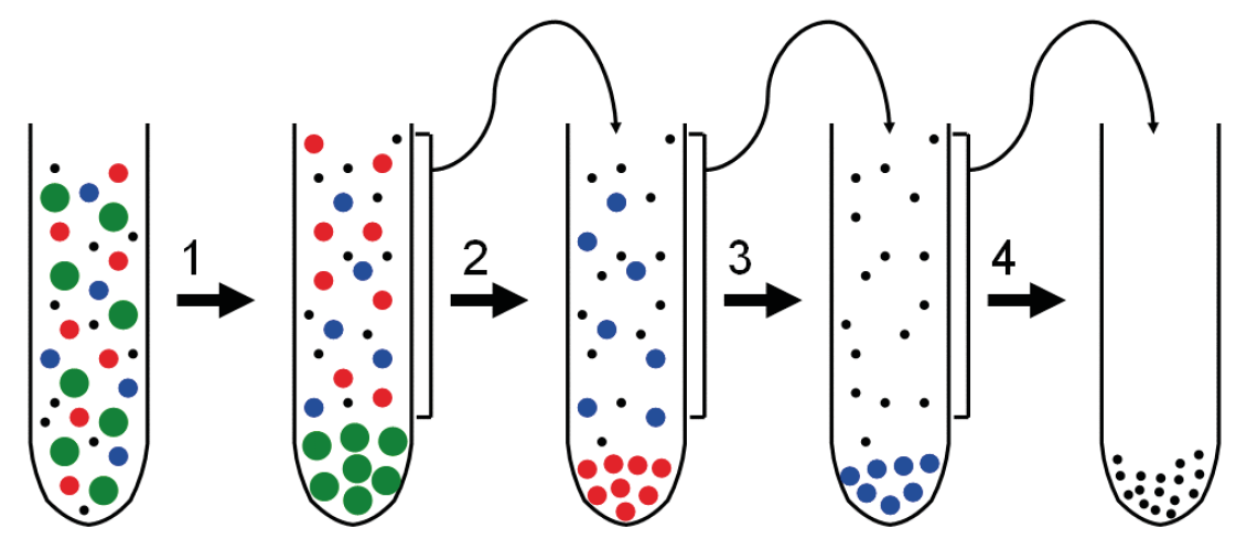 Preparative Ultracentrifugation