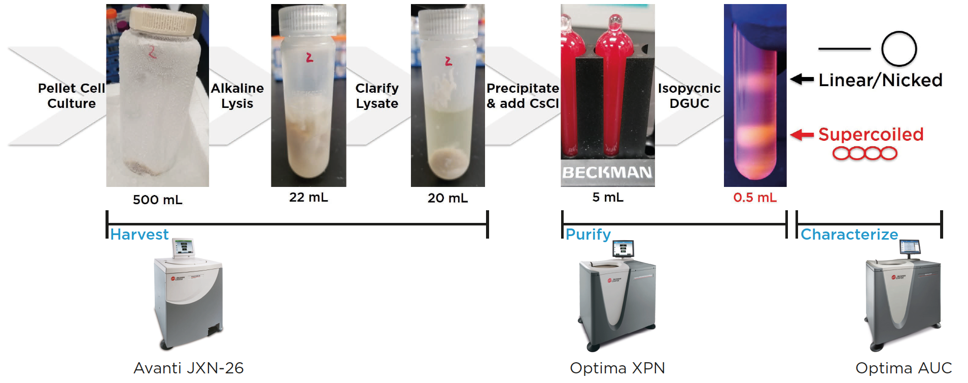 Applications of Ultracentrifugation in Purification and