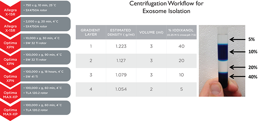 Figure 2. Typical centrifugation workflow and iodixanol gradient setup for stringent purification of exosomes from cell culture. Gradients were layered and fractionated using a Biomek 4000.