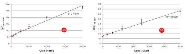 Figure 3. XTT absorbance curves after one-hour (3A) and three-hour (3B) incubations. Excellent linearity (R2 values) indicates the curves provide a reliable standard for unknown samples in a proliferation assay or compound screen. The 20,000 cell data at one hour suggest a plateauing of the curve, indicating a shorter incubation time would be recommended for these cell numbers.