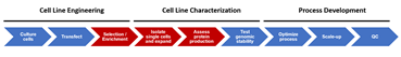 Figure 1. Cell line development process. Automated steps described here are indicated in red.