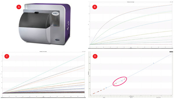 Figure 5. IgG quantification. The Octet HTX (A) was used to measure binding curves of known standards (B), and wells with single-cell derived colonies (C). The standards were used to quantify the IgG from the unknown wells and the highest producing clones (D, circled) were moved forward in the process.