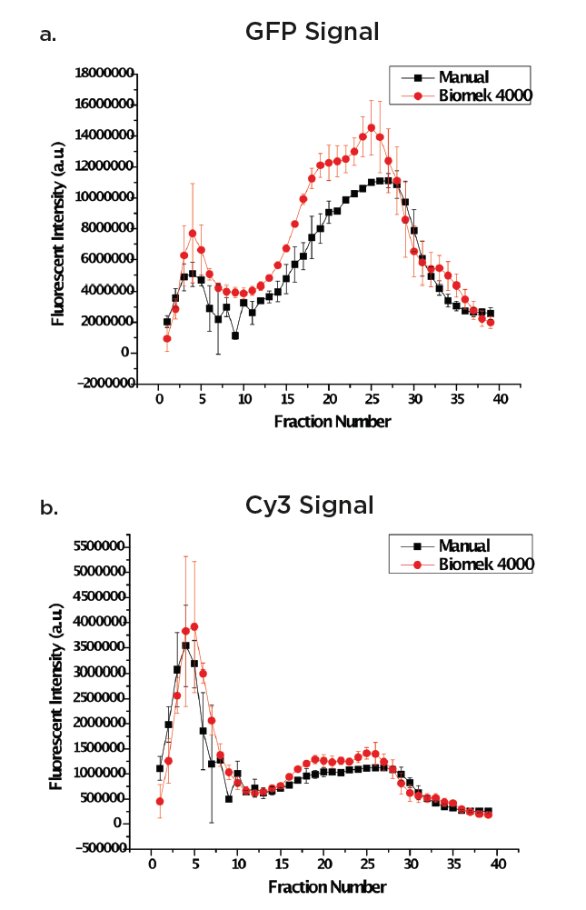 Fig. 2a and 2b. Overlaid images of diff erent preparation techniques for eGFP-gp16 (a) and cy3-dsDNA (b).