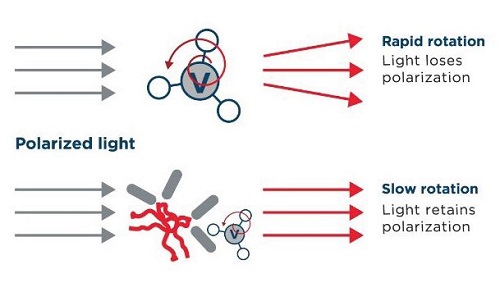 application note Automating the Valita Titer IgG Quantification Assay on a Biomek i-Series Liquid Handling System