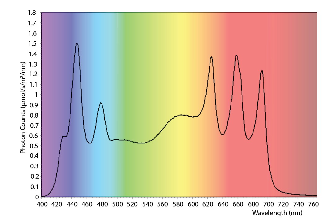 Illumination spectrum and irradiance