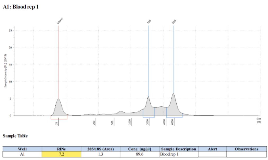 Figure 6. Manual RNA samples analyzed on TapeStation 2200. 