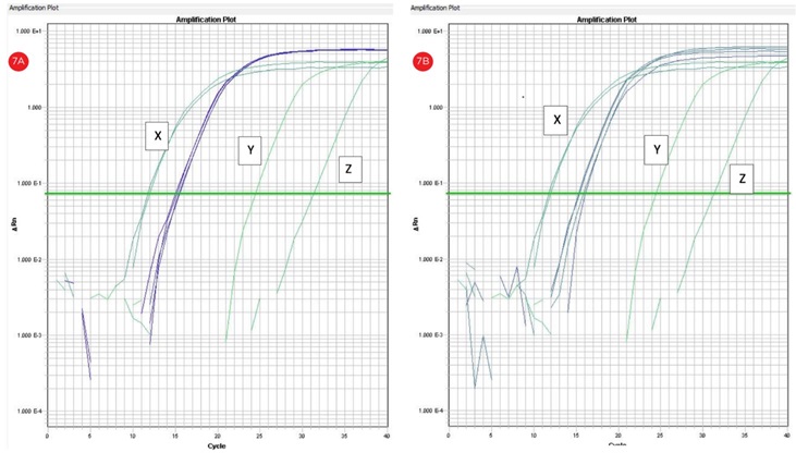 Figure 7. qRT-PCR amplification plots (cycle number vs. florescence) corresponding to automated (a) and manual (b) RNA templates. RNA template concentration 150 ng/uL; X: positive control 200 ng/uL; y: no RT control; z: no template control