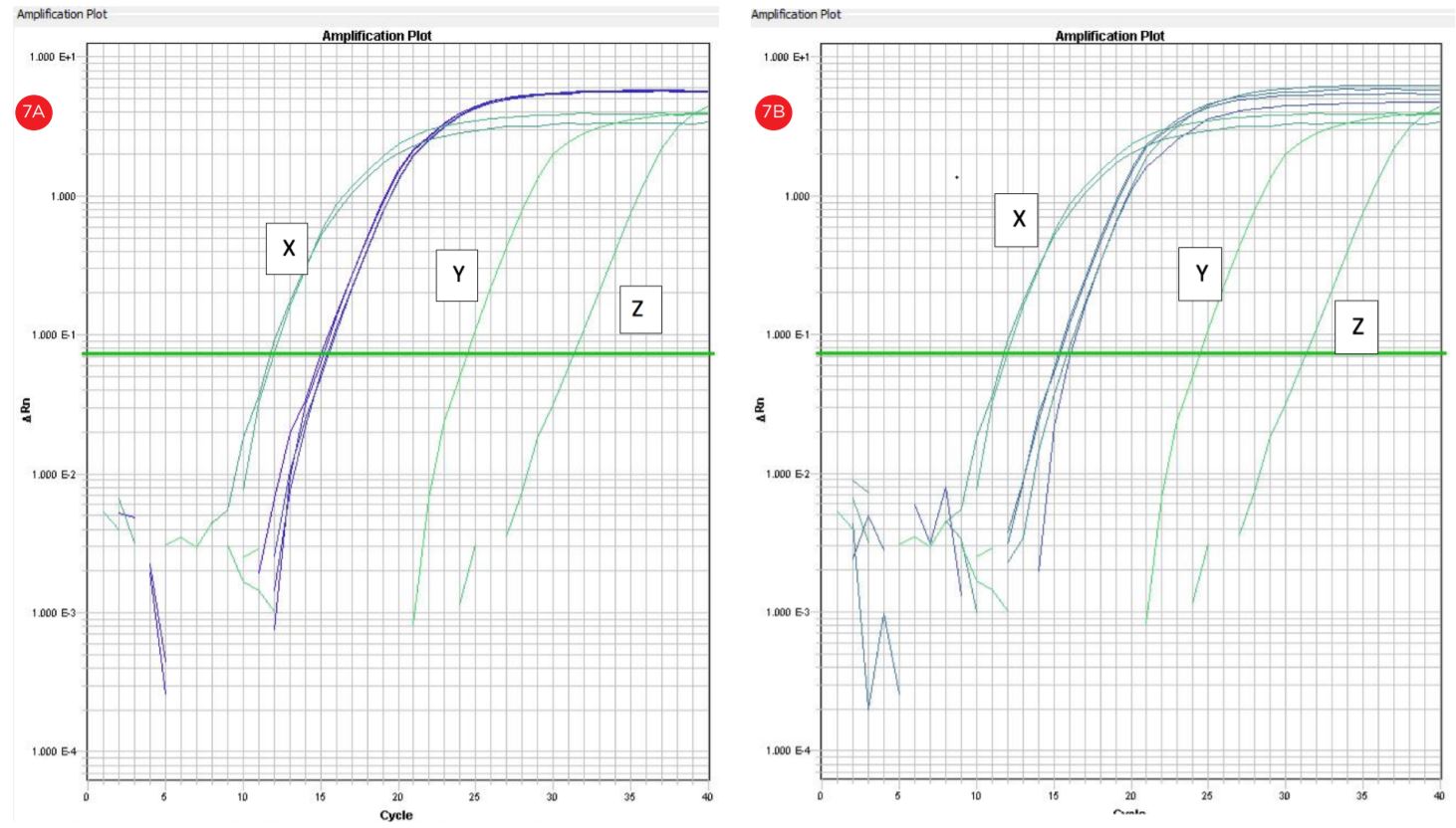 Figure 7. qRT-PCR amplification plots (cycle number vs. florescence) corresponding to automated (a) and manual (b) RNA templates. RNA template concentration 150 ng/uL; X: positive control 200 ng/uL; y: no RT control; z: no template control