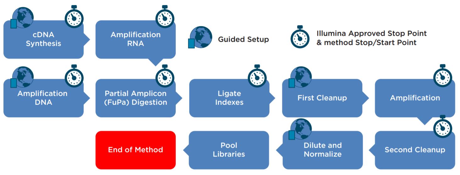 Figure 2. AmpliSeq for Illumina Library Prep Kit automated workflow
