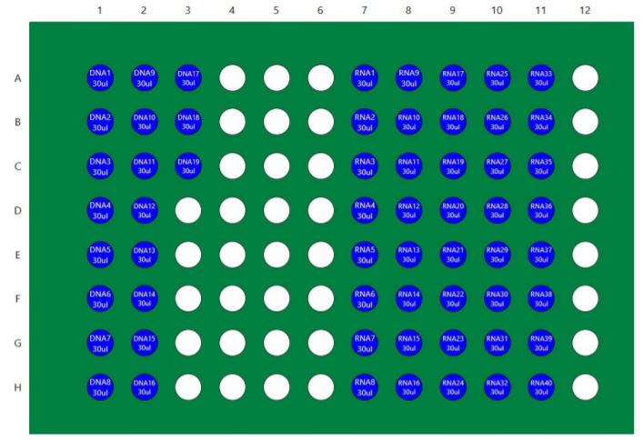 Figure 5B. Application allows DNA and RNA to be processed in parallel post amplification on a single plate.