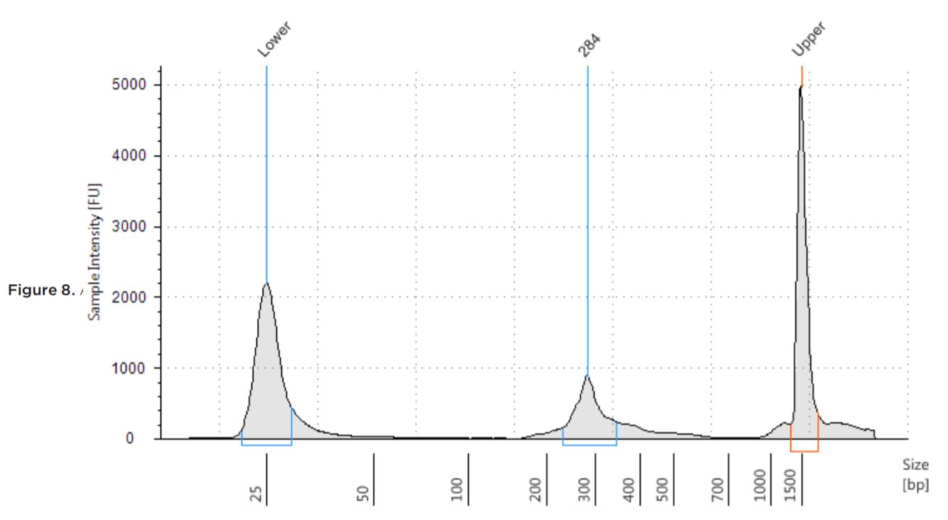 Figure 6. Seracare Fusion RNA Mix v3 (0710-0431) library distribution on D1000 tape run on Agilent TapeStation 2100. 