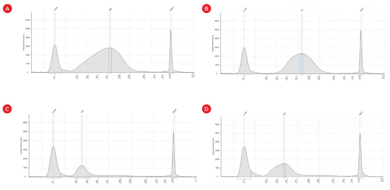 Figure 6. Fragment distribution in Agilent TapeStation corresponding to (a) Covaris shears: average size 668 bp, (b) left size selection: average size 721 bp, (c) right size selection: average size 152 bp and (d) double size selection: average size 343 bp. X axis: size (bp); Y axis: Sample intensity.