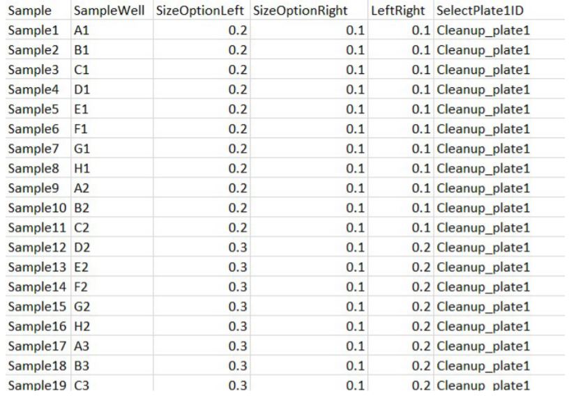 Figure 4. An example .csv file used for the custom size selection