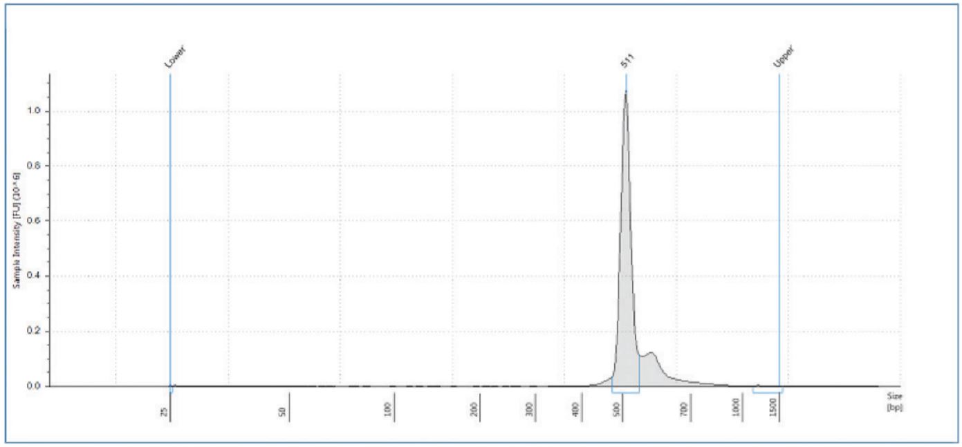 Figure 8. Electropherogram showing the sample running around expected size of the marker.