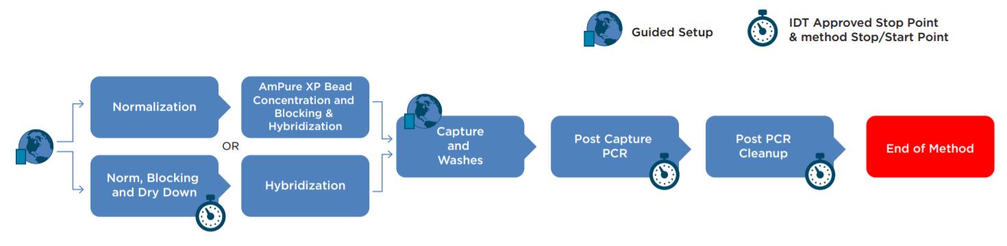 Figure 2. Automated workflow of IDT xGen Hybridization Capture of DNA libraries 