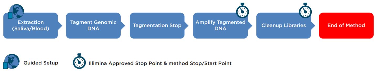 Figure 1. Illumina Nextera DNA Flex Library Prep Kit workflow.