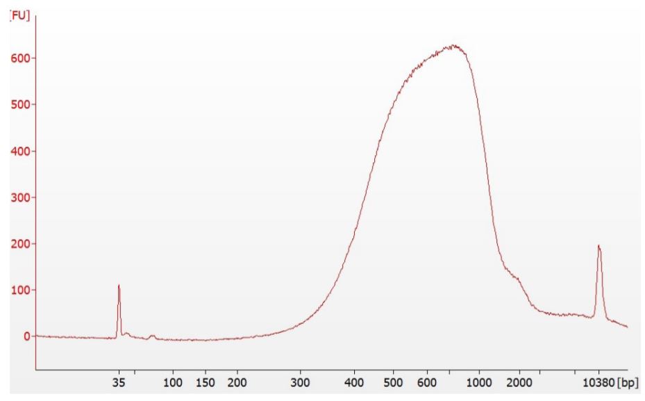 Figure 5. Example of Nextera DNA Flex library distribution on Agilent Technologies 2100 Bioanalyzer High Sensitivity DNA Chip. The 8-plex library median is within expected 650bp +/- 50bp range. The library pool yielded 13.8 ng/uL as measured by Qubit dsDNA HS Assay Kit. 