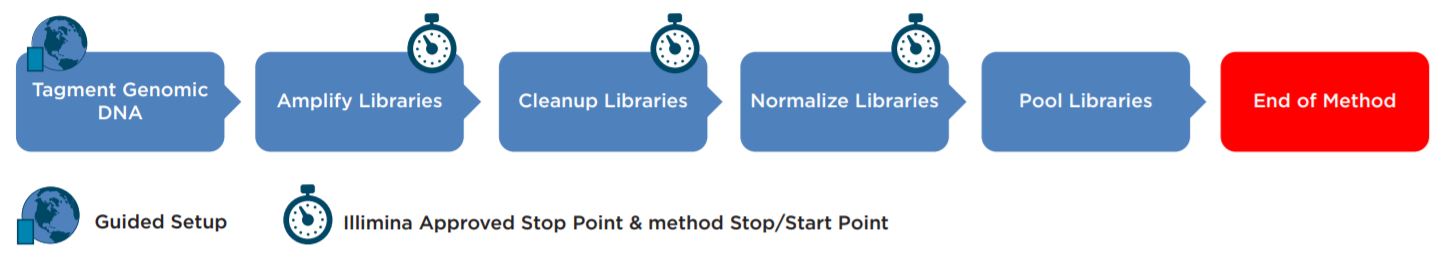 Figure 1. Illumina Nextera XT DNA Library Prep Kit workflow