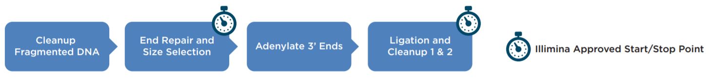 Figure 1. llumina TruSeq® DNA PCR-Free workflow