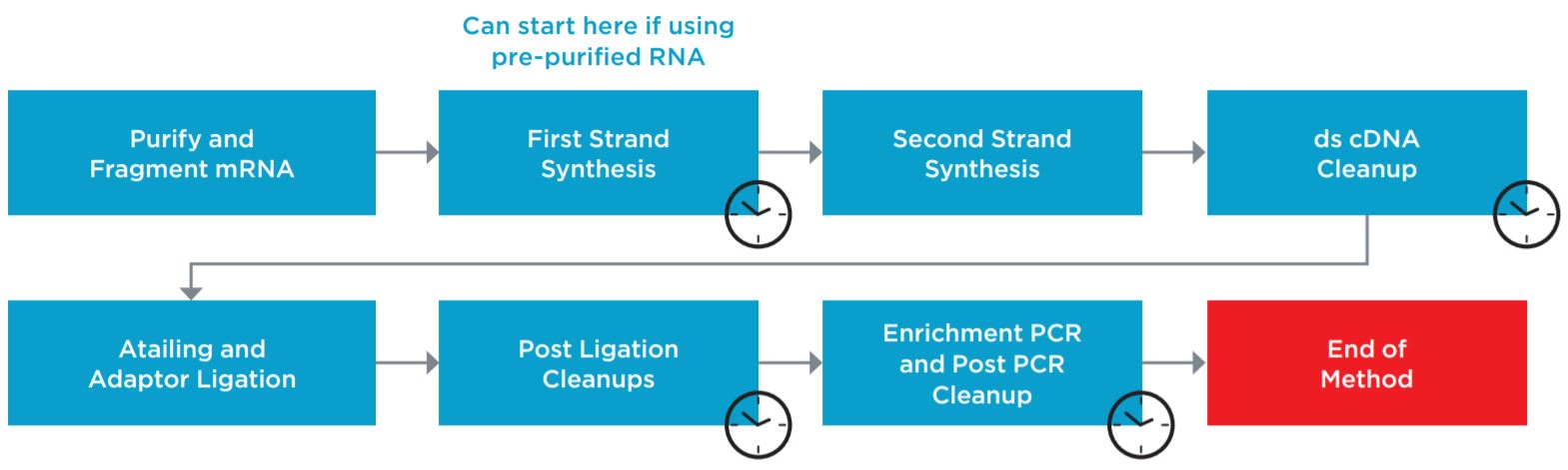 Figure 1. Illumina TruSeq® Stranded mRNA Sample Preparation Kit protocol.