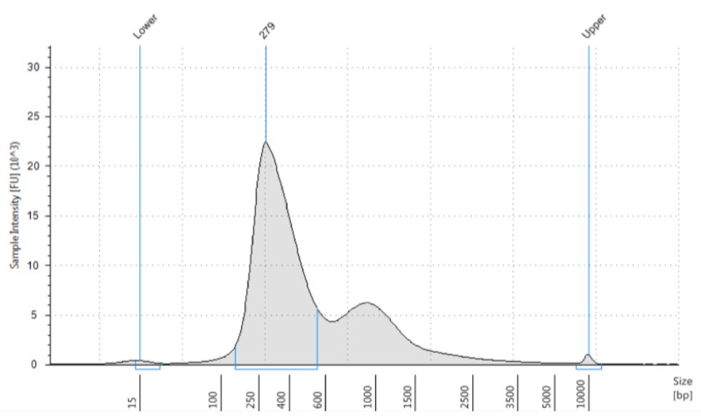 Figure 7. Electropherogram (Sample intensity vs. size in base pairs) of Agilent TapeStation corresponding to UHR250 replicate3 showing the libraries around expected size of the marker