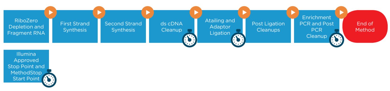 Figure 1. Illumina TruSeq Stranded Total RNA Sample Preparation Kit protocol