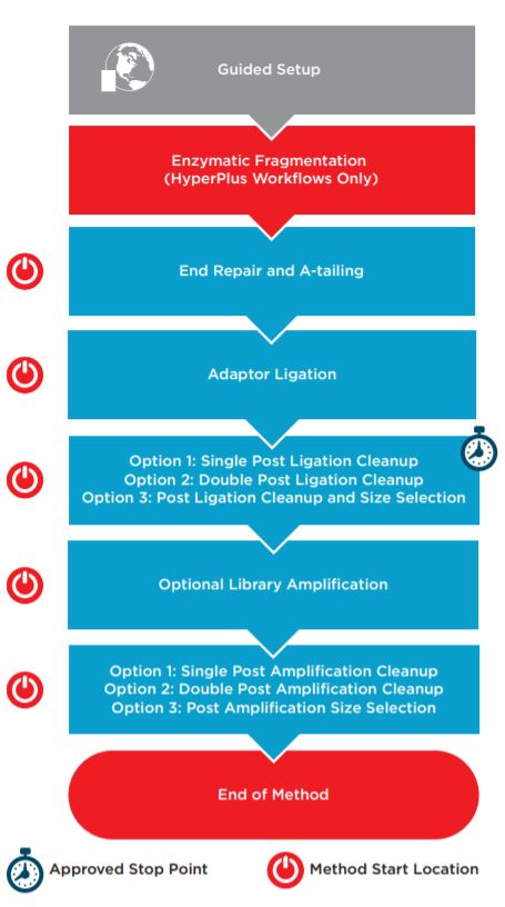 Figure 1. KAPA HyperPrep/HyperPlus automated method workflow.