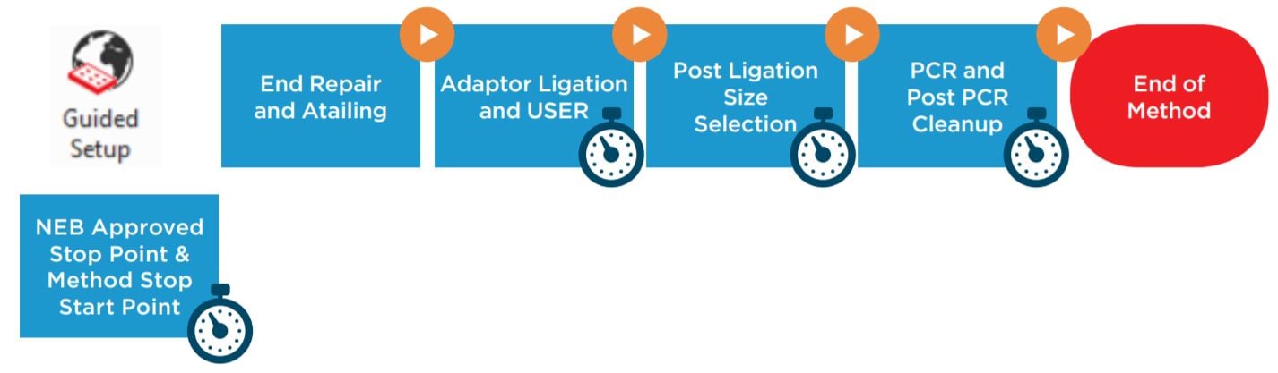 Figure 1. NEBNext® Ultra IITM DNA Library Prep Kit protocol