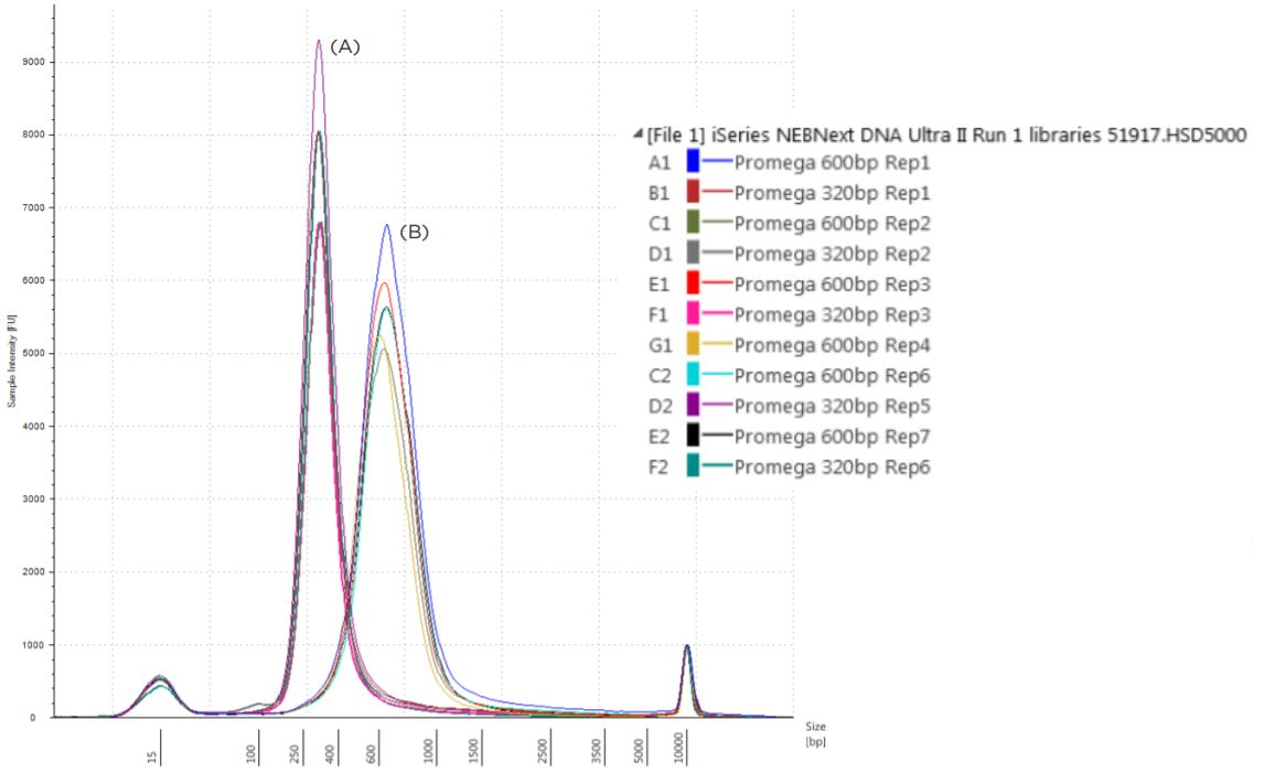 Figure 7. Electropherogram (Sample intensity vs. size in base pairs) of Agilent TapeStation corresponding to 320bp libraries (A) and 600-800 bp (B) libraries. 