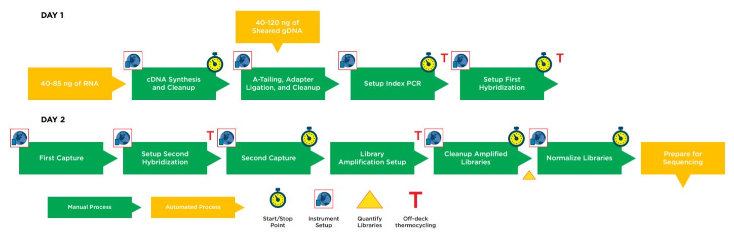 Figure 1. Illumina TruSight Tumor 170 32 Sample Method Workflow.