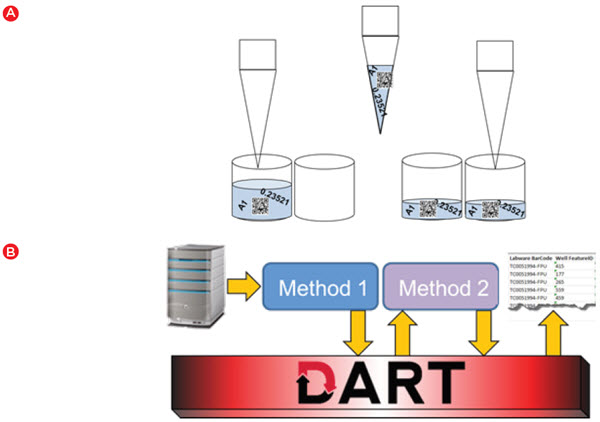 Figure 4. Automated data handling. A) Biomek software automatically transfers data from source to destination when a liquid handling step is executed. B) DART software provides a database that can be used to store data between runs and enables data to be accessed in a later run or for generating reports.