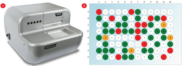 Figure 3. Monoclonality confirmation. A) A CloneSelect Imager was used to count fluorescent cells. B) A representative plate indicating empty wells (white), monoclonal wells (green/yellow) or wells with multiple cells (red). Yellow wells indicate confirmation is required due to faint signal or abnormal shapes which can indicate cell clusters.
