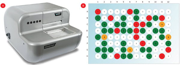 Hình 3. Xác nhận đơn dòng. A) Máy tạo ảnh CloneSelect được sử dụng để đếm các tế bào huỳnh quang. B) Một tấm tiêu biểu chỉ ra các giếng trống (màu trắng), giếng đơn dòng (màu xanh lá cây/vàng) hoặc giếng có nhiều tế bào (màu đỏ). Các giếng màu vàng chỉ ra cần xác nhận do tín hiệu yếu hoặc hình dạng bất thường có thể chỉ ra các cụm tế bào.