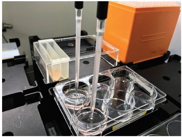 Figure 2. Semi-solid medium automation. The Span-8 pipettors of the Biomek i7 Workstation were used to add cells to medium, mix the cells in the reservoir, and dispense 3mL to 6-well plates.