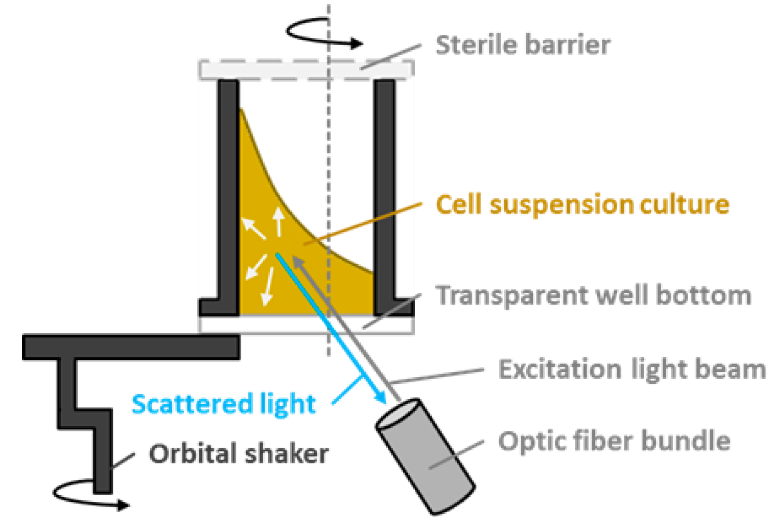 Figure 1 BioLectorの動作原理