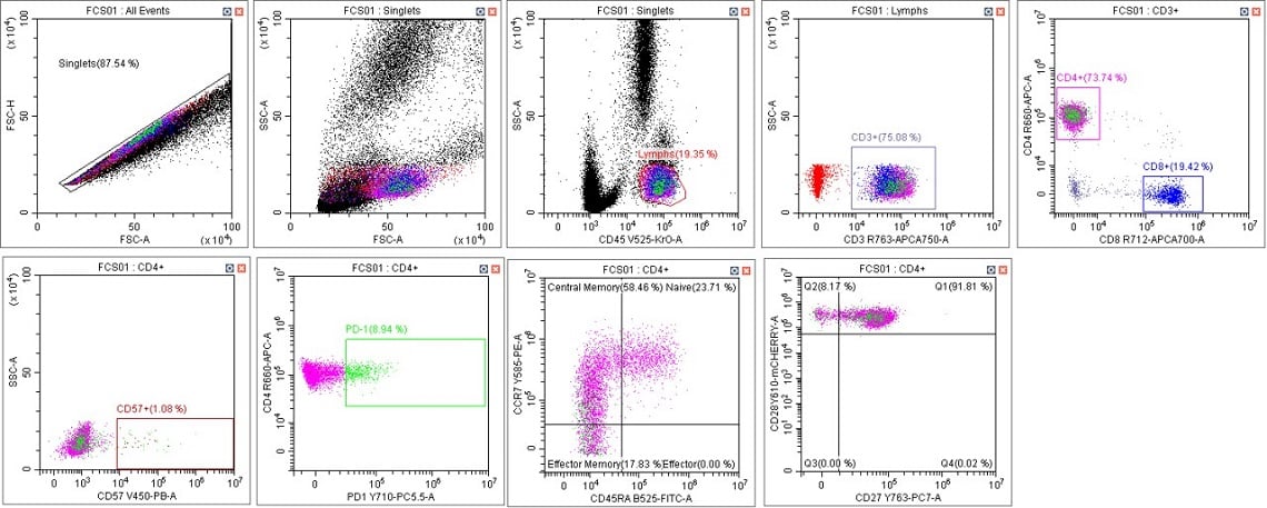 CytoFLEX Gain Independent Compensation Immunophenotyping Panel in Scenario 1