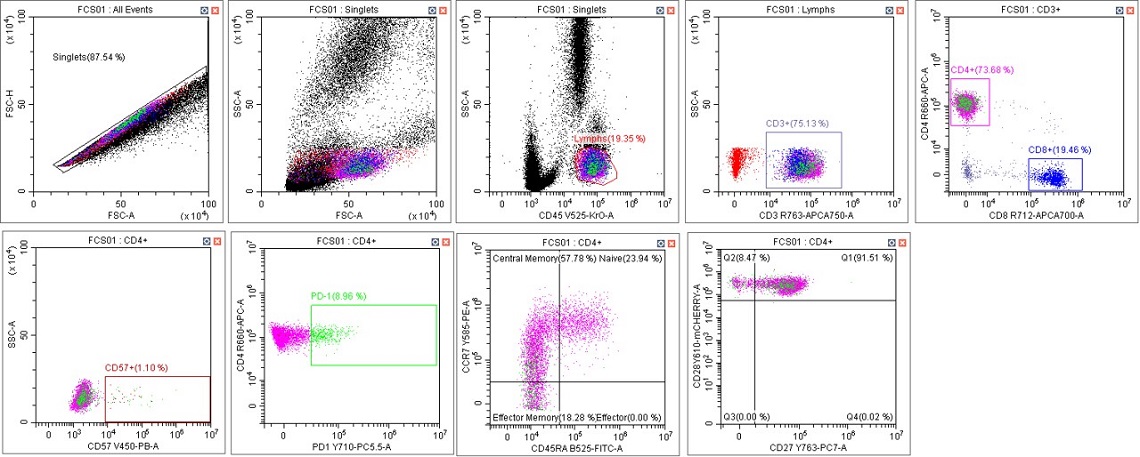 CytoFLEX Gain Independent Compensation Immunophenotyping Panel in Scenario 2