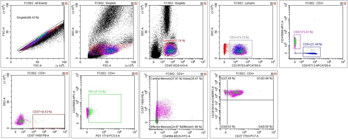 CytoFLEX Gain Independent Compensation Immunophenotyping Panel in Scenario 3