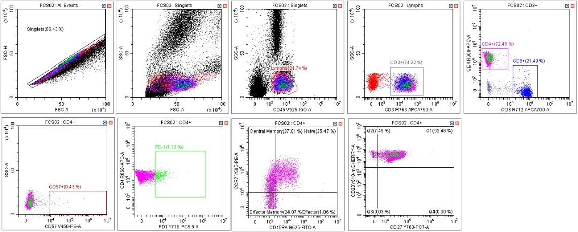 CytoFLEX Gain Independent Compensation Immunophenotyping Panel in Scenario 3 with adjusted gates