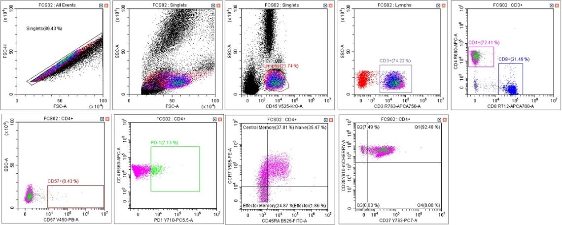 CytoFLEX Gain Independent Compensation Immunophenotyping Panel in Scenario 3 with adjusted gates