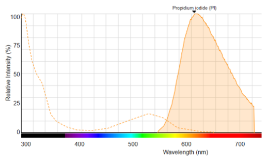 Figure 1: Fluorescence spectrum of PI bound to DNA