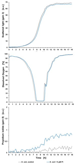 Figure 2: Pre cultivation experiment showing the impact of 5 µM PI on bacterial growth, DO and the PI signal of a bacterial cultivation in the BioLector® Pro